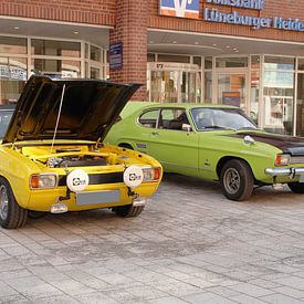 Ford 2000 GT en 3000 GT van Anja Bagunk