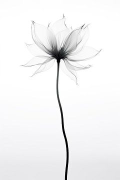 Doorzichtige bloemen van Bert Nijholt
