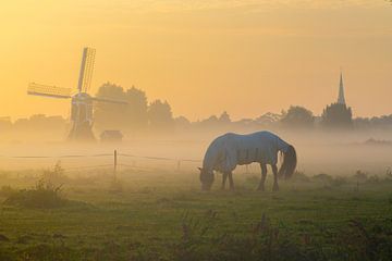 Hollandse polder. van Corné Ouwehand