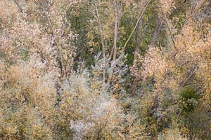 Silber und Gold