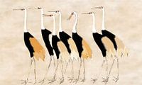 Japanse kraanvogels in neutrale pastelkleuren