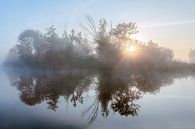 Zonsopkomst in de mist door de bomen met een waterreflectie van R Smallenbroek thumbnail