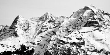 Eiger Monch Jungfrau van Bettina Schnittert