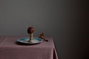 Still life of mushrooms by Lilian Bisschop