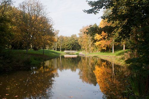 Weerspiegeling in Park