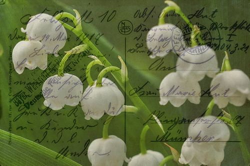 Field Wenskaart mei 1917