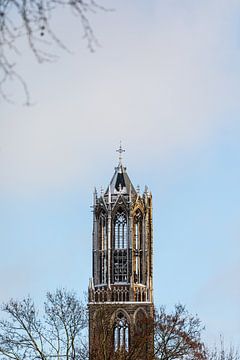 La tour Dom enneigée d'Utrecht depuis le parc Moreelse. (debout, au centre de l'image)