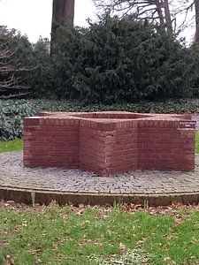 Jodenster schaffelaarse bos Barneveld
