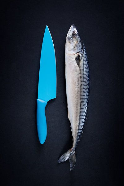 Mackerel with Japanese kitchen knife by bureauBeeld