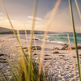 Bay of Fires in Tasmanien, Australien von Sven Wildschut