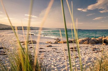 Bay of Fires in Tasmanië, Australië