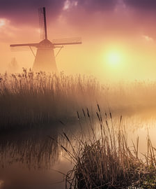 Kinderdijk von Herman van den Berge