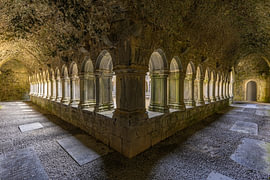 Quin Abbey (Ireland) by Willem Klopper