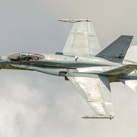 Royal Australian Air Force McDonnell Douglas F/A-18A Hornet. sur Jaap van den Berg