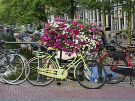Blumenfahrrad von Odette Kleeblatt