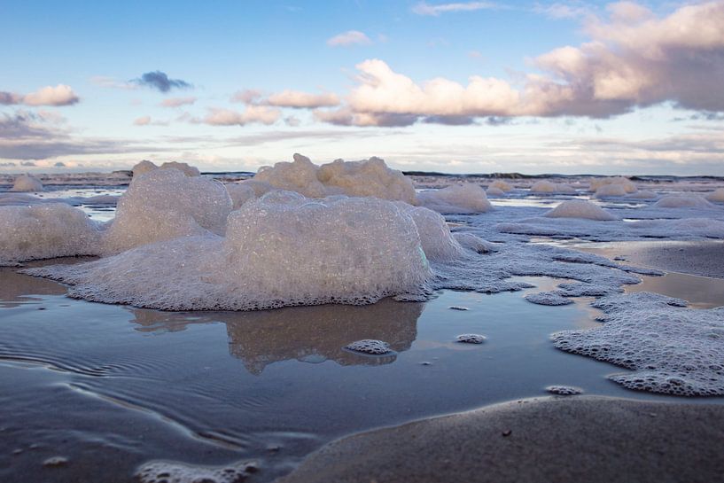 foam heads on the beach at westkapelle by anne droogsma
