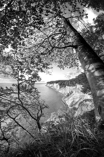 Chalk cliffs on the island of Rügen in black and white sunlight