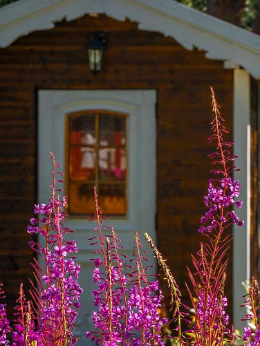 Skandinavische Hütte