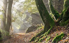 Vulkaneifel, Rhénanie-Palatinat, Allemagne sur Alexander Ludwig