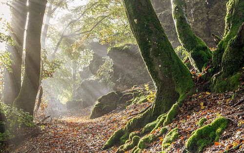 Vulkaaneifel, Rijnland-Palts, Duitsland