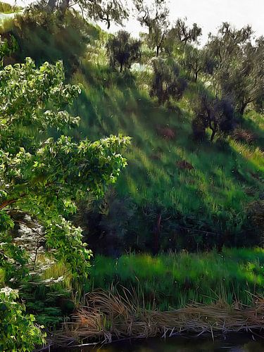 Tumbling Shadow Land