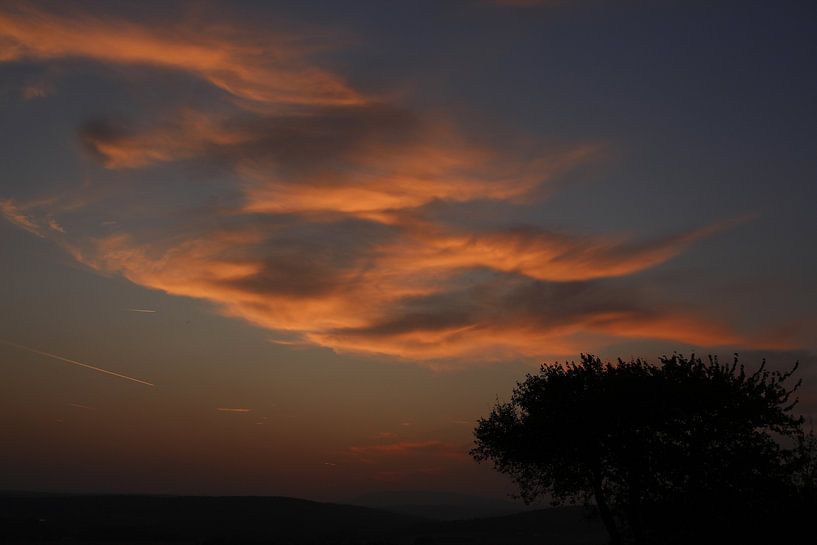 Nuages colorés après le coucher du soleil avec arbre par Martin Flechsig
