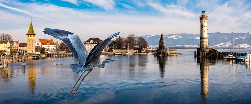 Panorama with grey heron in the harbour of Lindau Bodensee Germany by Dieter Walther