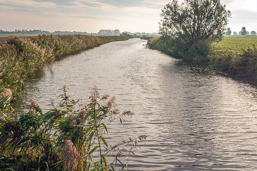 Paysage hollandais pittoresque avec une rivière sinueuse