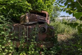 Ford by Wanda Michielsen