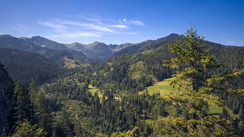 Uitzicht op het Tatra Nationaal Park, Polen