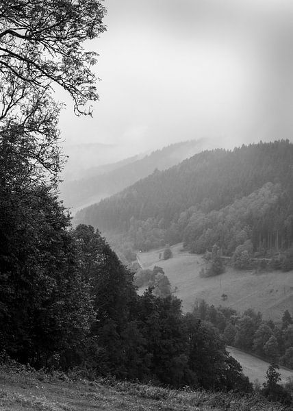 Allgäu Landschaft im Nebel von Flatfield
