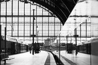 La gare centrale d'Anvers en noir et blanc par Jochem Oomen Aperçu