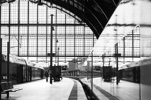 Station Antwerpen-Centraal in zwartwit