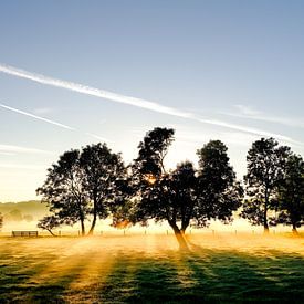 Vogelenzang 2e Doodweg in de ochtend van martin slagveld
