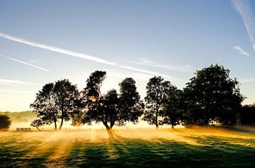 Vogelenzang 2ème Doodweg le matin sur martin slagveld