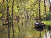 Landschaft im Spreewald auf dem Fluß