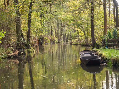 Landscape in Spreewald on the river