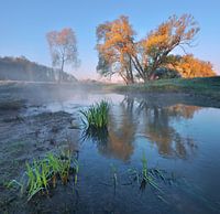 Morning at the river