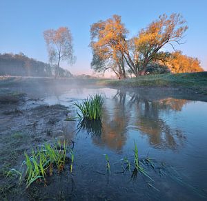 Morgen am Fluss von Stanislav Salamanov