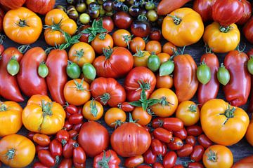 Nature morte aux tomates sur Karina Baumgart