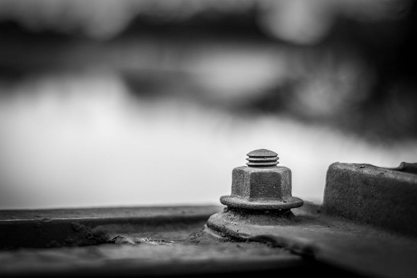 Black and White close up nut mounted on bridge von Raymond Voskamp
