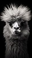 Dierenportret in zwart-wit minimalistische wildlife kunst