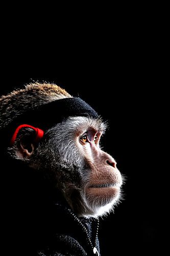 Intense blik van een aap