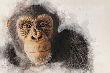 Chimpansee van Bert Quaedvlieg