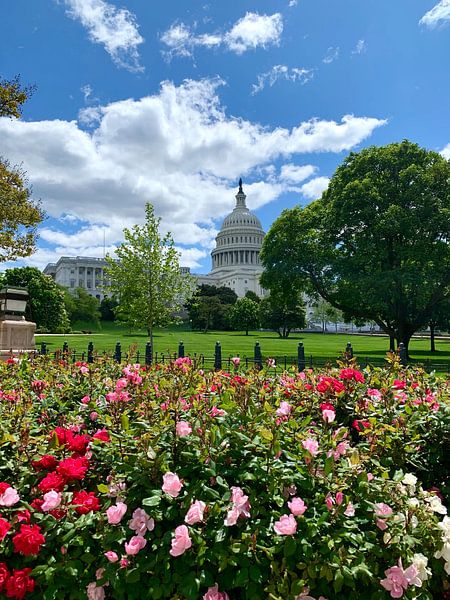 Washington DC by Hello Pompoyo