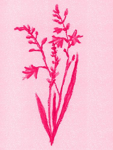 Kleurrijke vintage bloemen. Crocosmia of montbretia in neonroze.