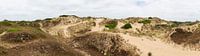 Dune du Perroquet panorama