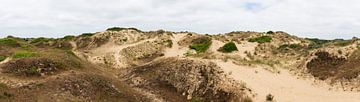 Panorama de la dune du Perroquet sur Werner Lerooy