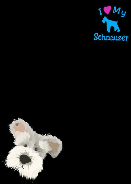 Schnauzer head by IHSANUDDIN .