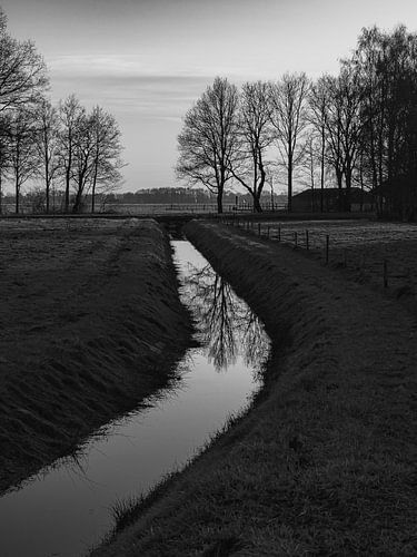 A beautiful stream by SappiesPhoto